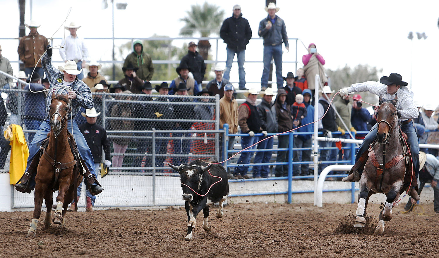 La Fiesta de los Vaqueros